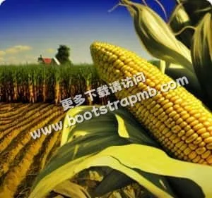 探索多元娱乐，满足您的所有期待 - 雷竞技