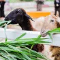 探索雷竞技APP的精彩 - 雷竞技
